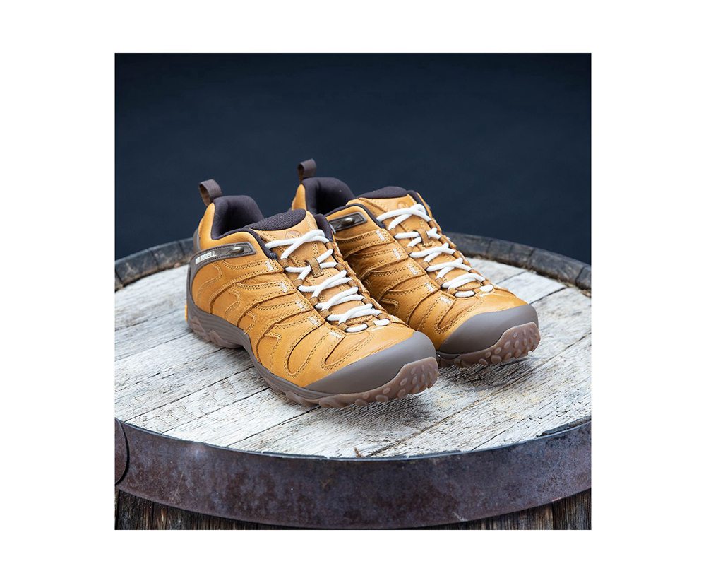 Tenis Homem - Merrell Cham 7 Slam Luna Couro - Marrom - HQO830175